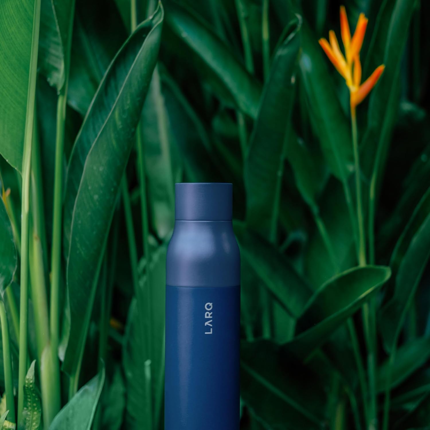 Bottle Purevis 17 Oz - Self-Cleaning and Insulated Stainless Steel Water Bottle with UV Water Purifier and Award-Winning Design | Reusable & Travel Friendly, Monaco Blue